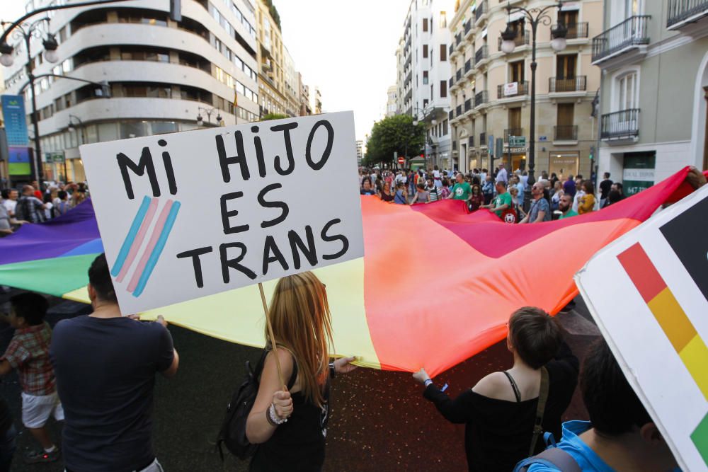 Manifestación del Orgullo LGTBi en Valencia