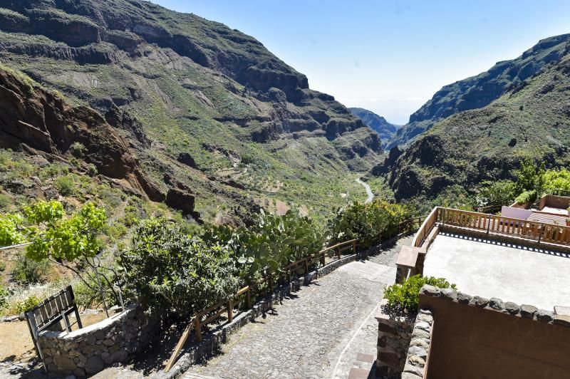 Inauguración del camino de las bestias en Ingenio