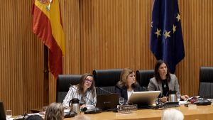 La delegada del Gobierno contra la Violencia de Género, Carmen Martínez, durante su comparecencia en el Congreso de los Diputados.