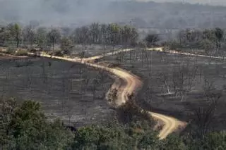 ¿Quién quema nuestros montes? El retrato del incendiario