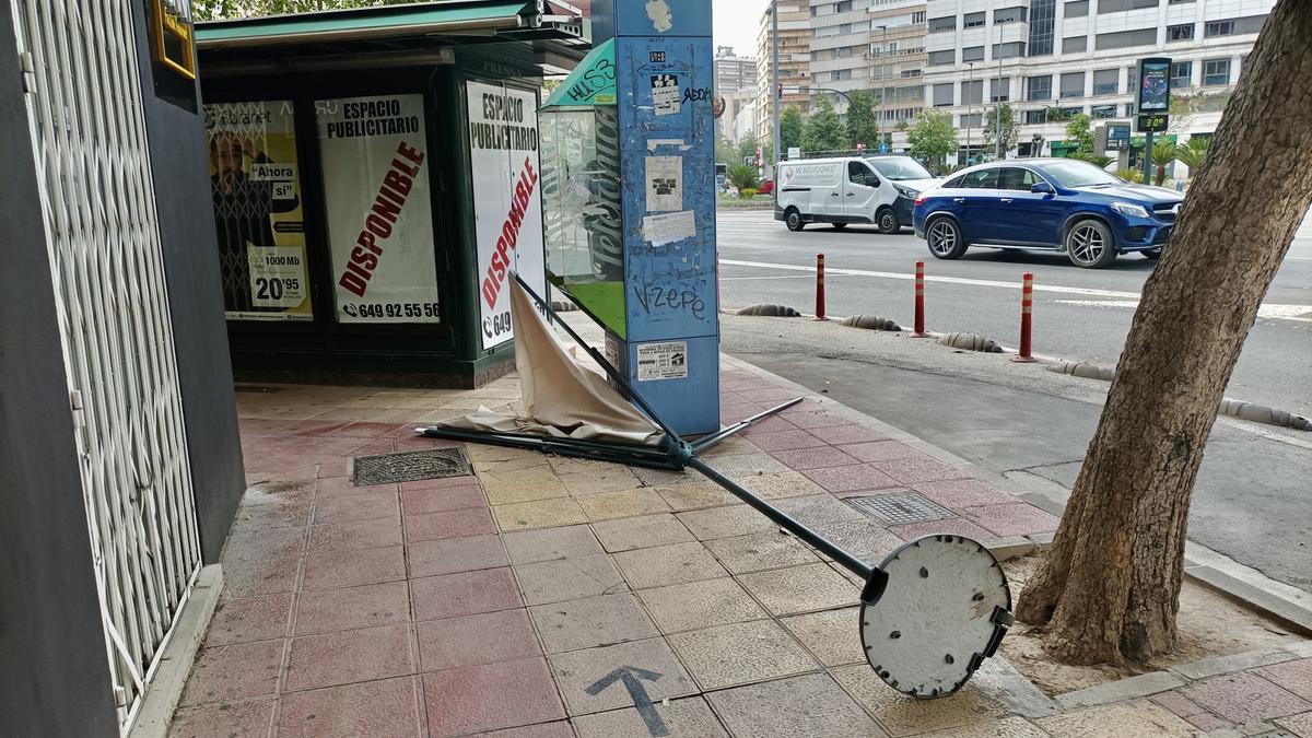 EFECTOS VIENTO HURACANADO DE ANOCHE EN CALLES Y JARDINES DE MURCIA