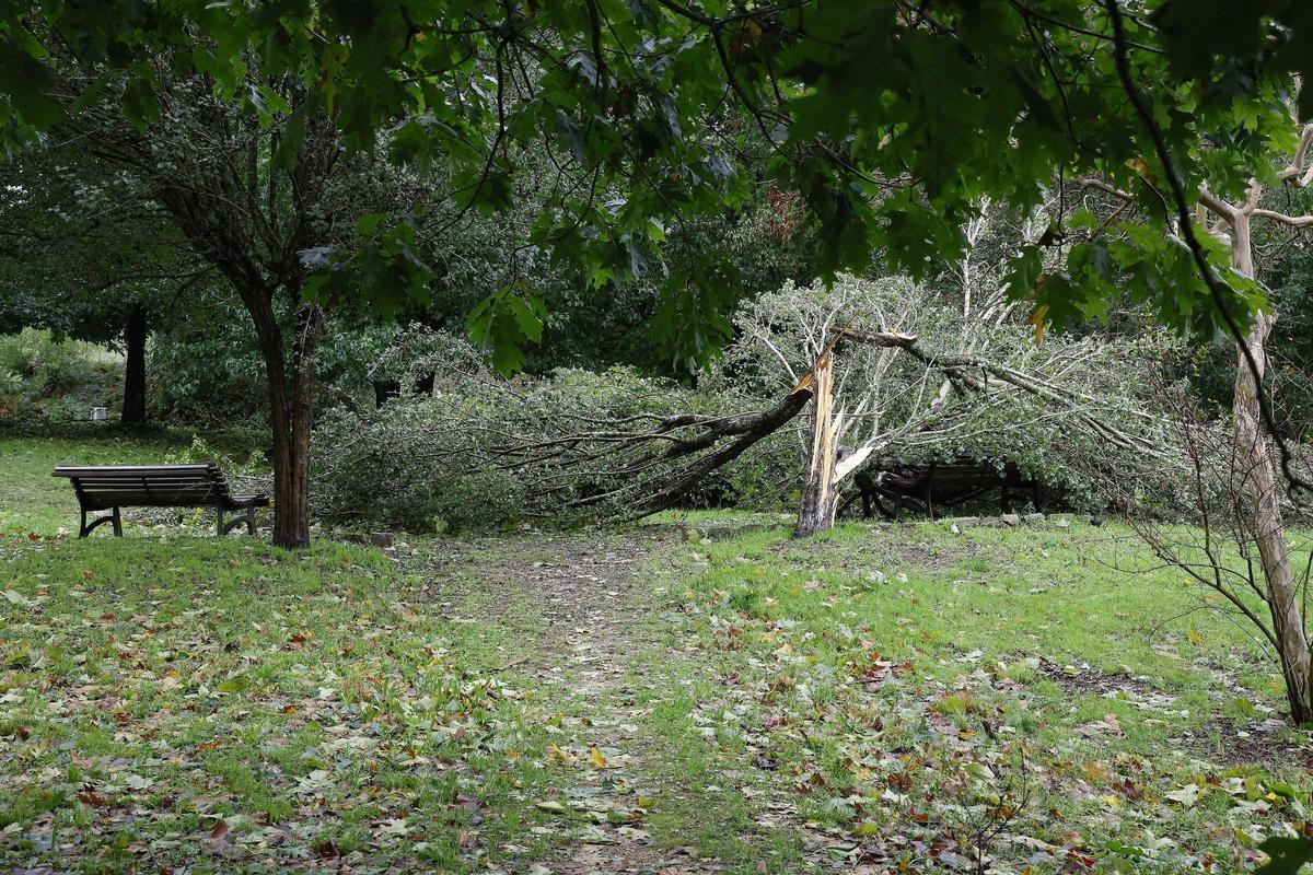 La intensa borrasca Kirk deja decenas de incidencias a su paso por Santiago