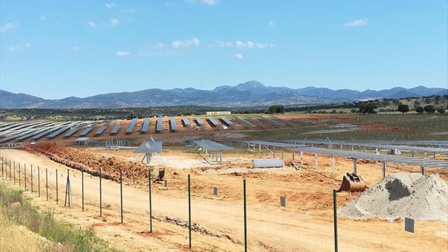 Endesa se suma a la celebración del Día Mundial del Medio Ambiente