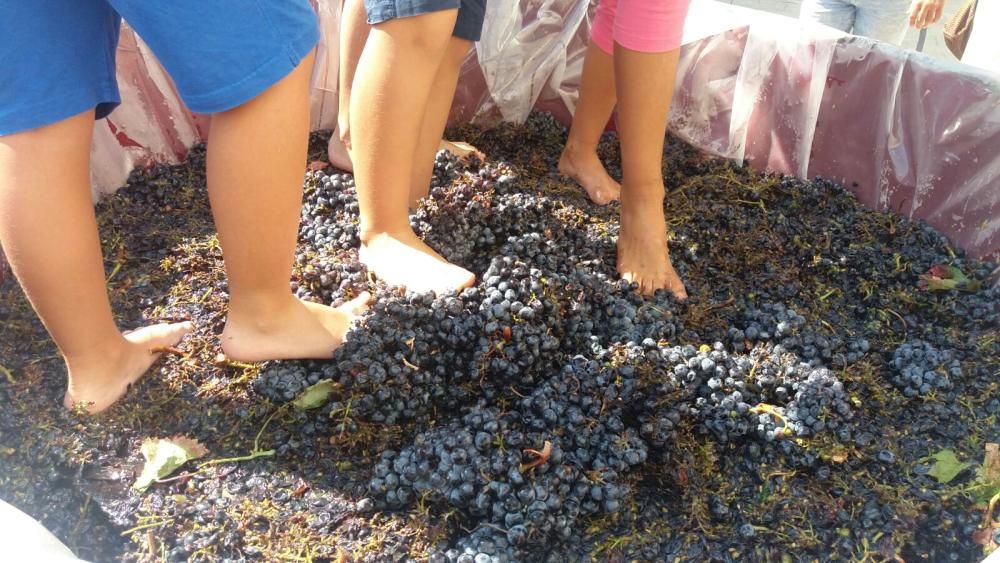 Pequeñas pisadas de la uva en Bullas