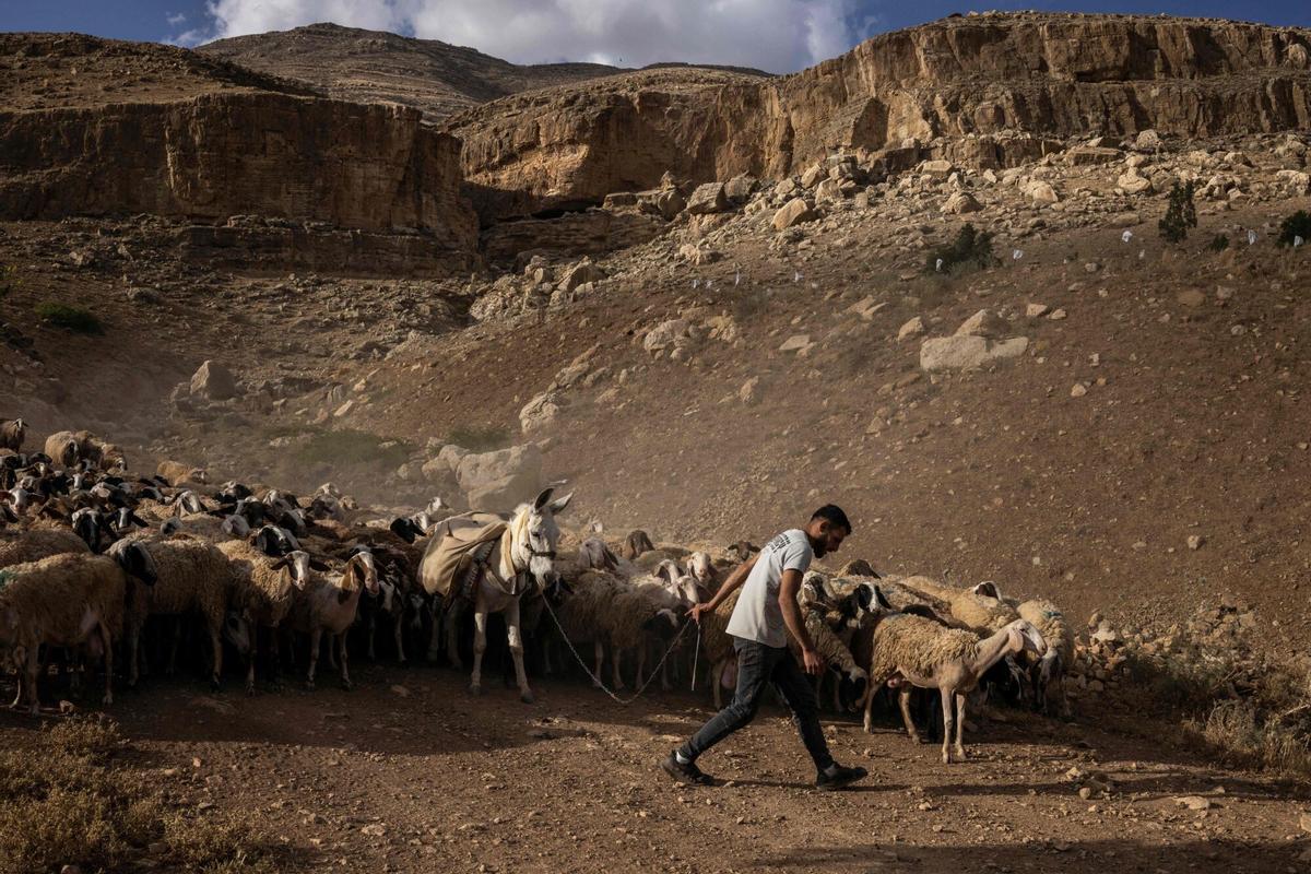 Un pastor palestino guía a sus ovejas cerca de la población de Nasariya, en Cisjordania, el pasado miércoles.