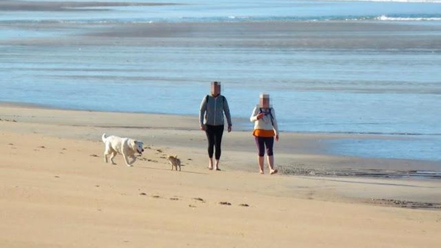 Aquí se admiten perros: estas son las mejores playas para pasear con tu mascota este otoño en Vigo