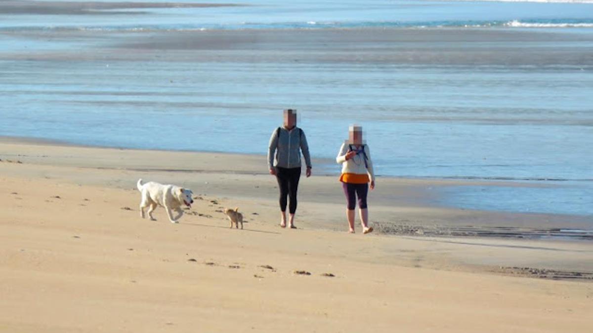 Desde el 30 de septiembre la mayoría de playas ya permiten el acceso a los perros.
