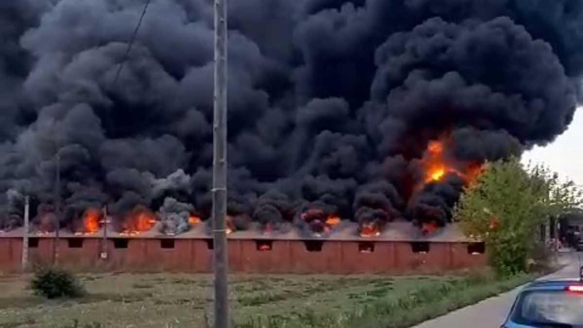 Vídeo | Moren 6.600 porcs en l'incendi de la granja de Cornellà del Terri