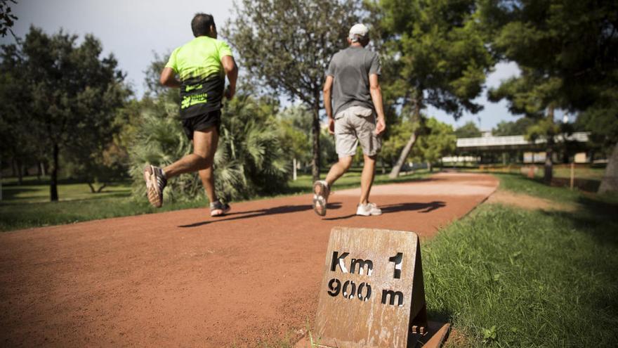 Circuito 5K para corredores en el Jardí del Túria .