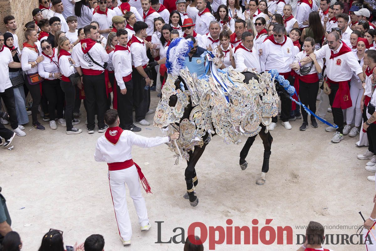 Así se ha vivido la carrera de Los Caballos del Vino en Caravaca