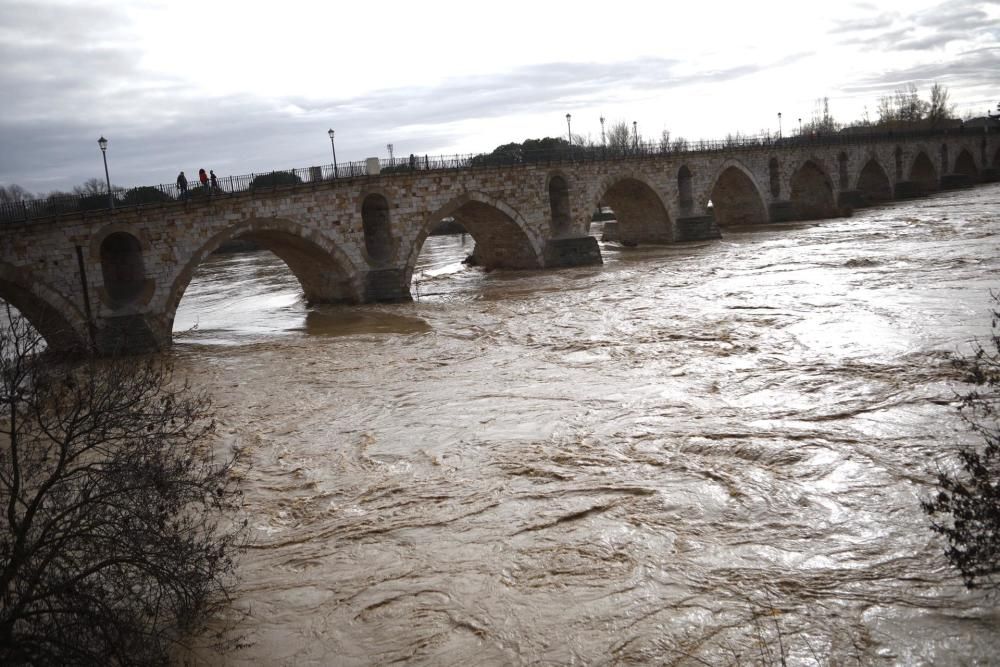 Crecida del río Duero en Zamora capital.