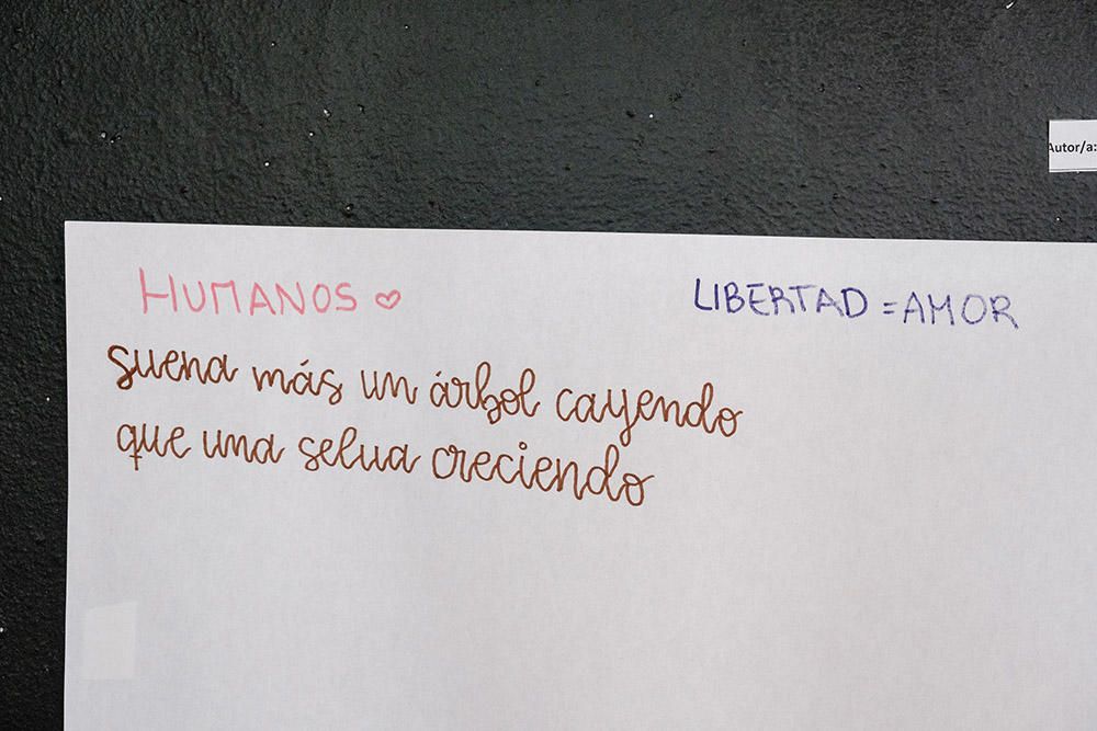 Arte y palabras contra la violencia machista