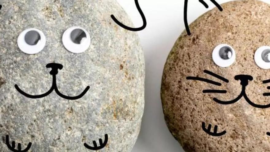 Los surcoreanos se aferran a las piedras como mascotas