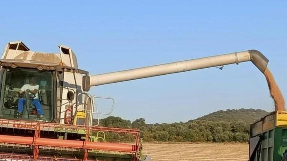Agricultura concede 15,8 millones para la incorporación de 253 jóvenes agricultores en Aragón