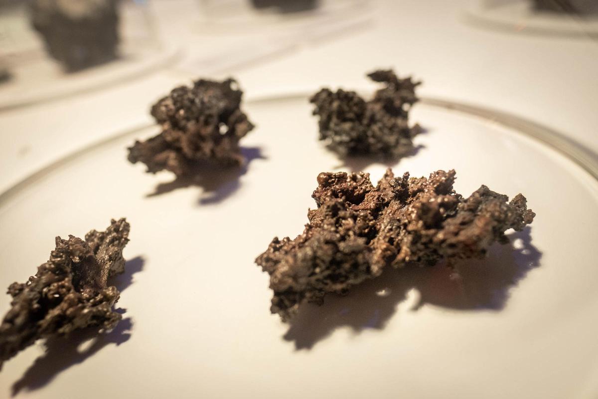 Inaguración exposición 'Ceniza y lava' Inaguración exposición 'Ceniza y lava'