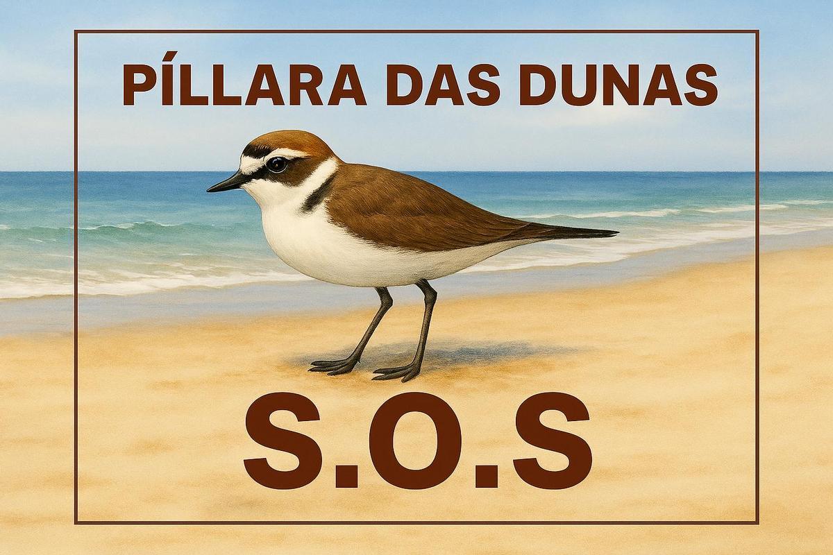 Un cartel de SEO/BirdLife pidiendo ayuda para el chorlitejo.