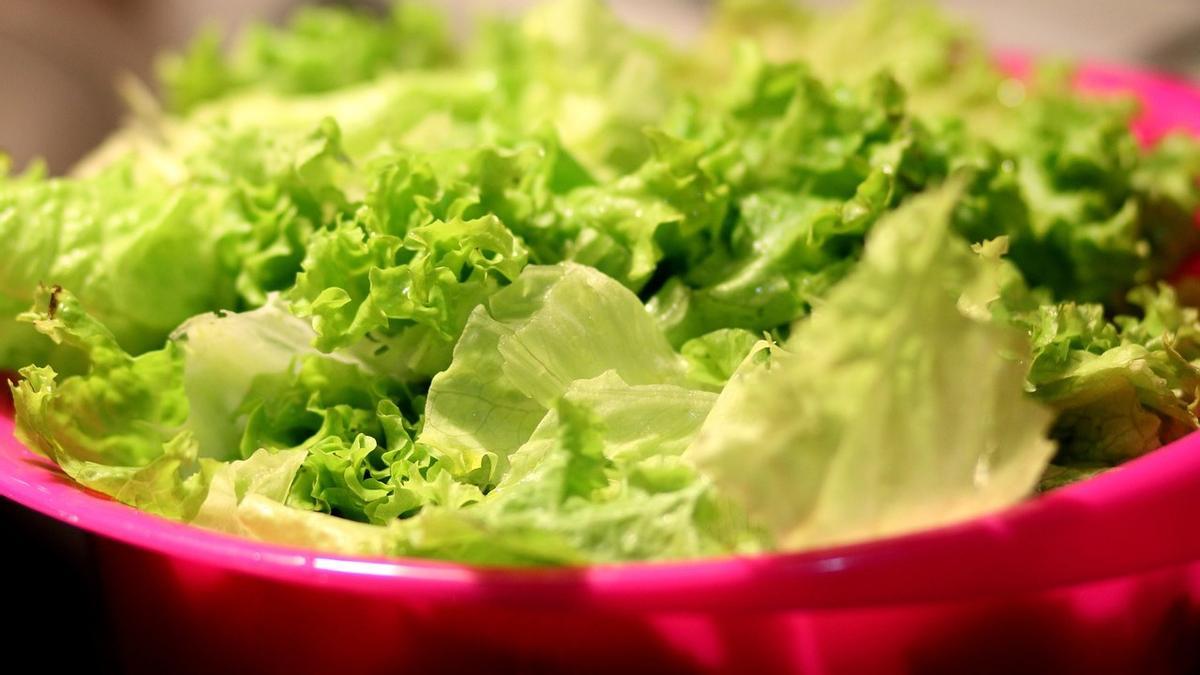 Así puedes conservar a la perfección las hojas de lechuga para tus ensaladas