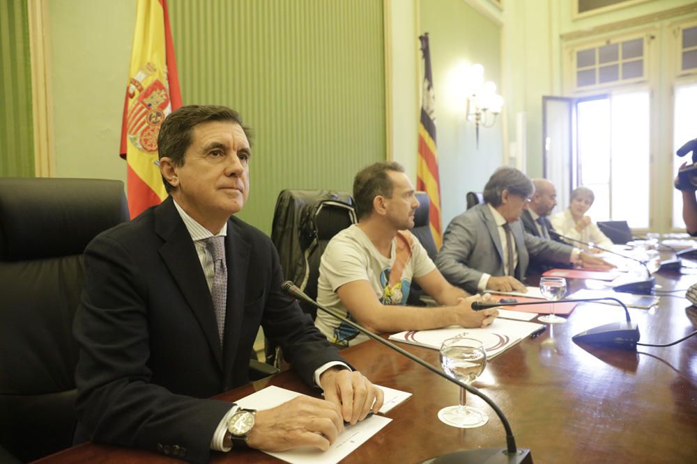 Matas comparece en el el Parlament por las autopistas de Ibiza
