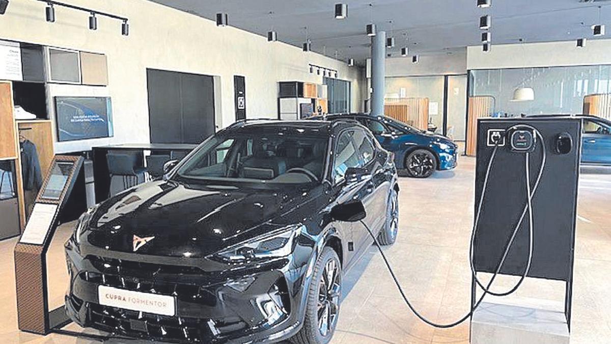 Cupra híbrido enchufable