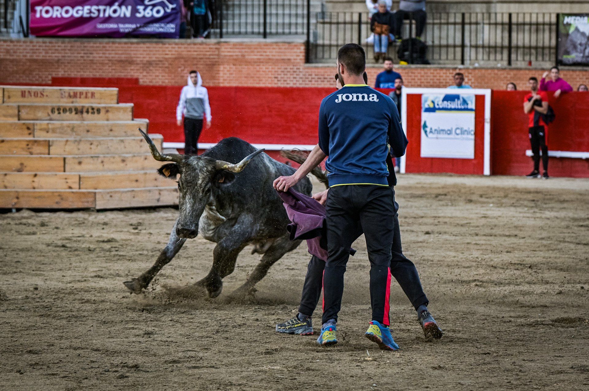 Resumen concurso ganaderías Pascua Taurina de Onda