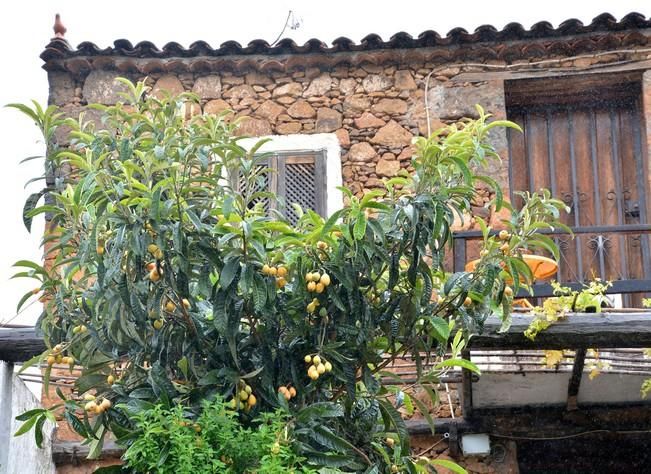 LLUVIA Y FRIO MEDIANIAS Y CUMBRE