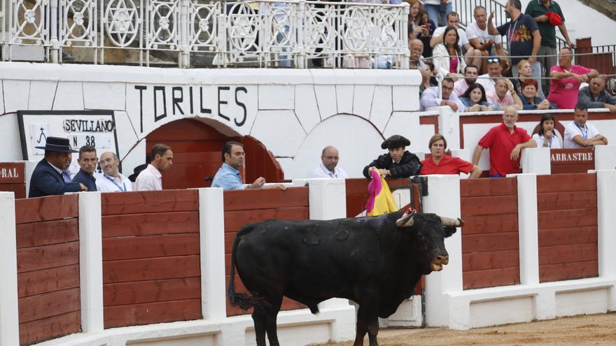 El Juli y su histórico indulto al toro &quot;Caritativo&quot; en El Bibio: &quot;Gracias Gijón por una tarde inolvidable&quot;