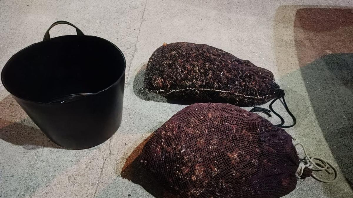 Los casi 50 kilos de percebe decomisado en la Torre de Hércules
