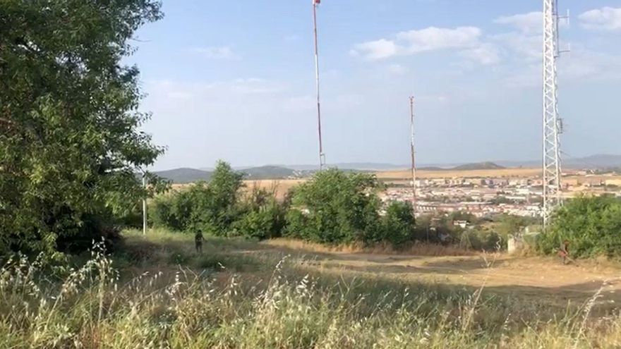 Un trabajador municipal desbroza una zona de Cáceres.