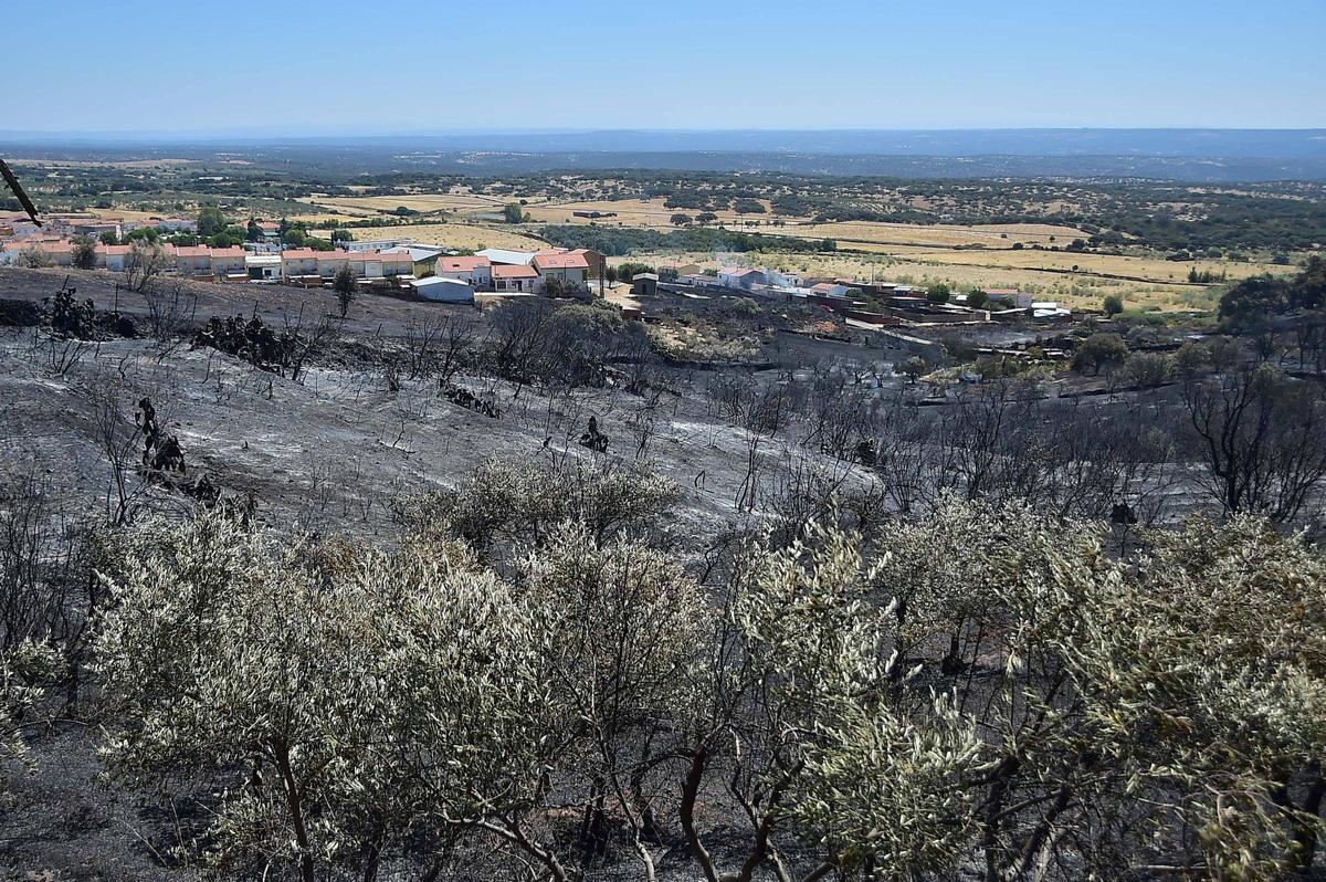 Fotogalería | Así ha quedado la zona de Casas de Millán tras el paso del incendio