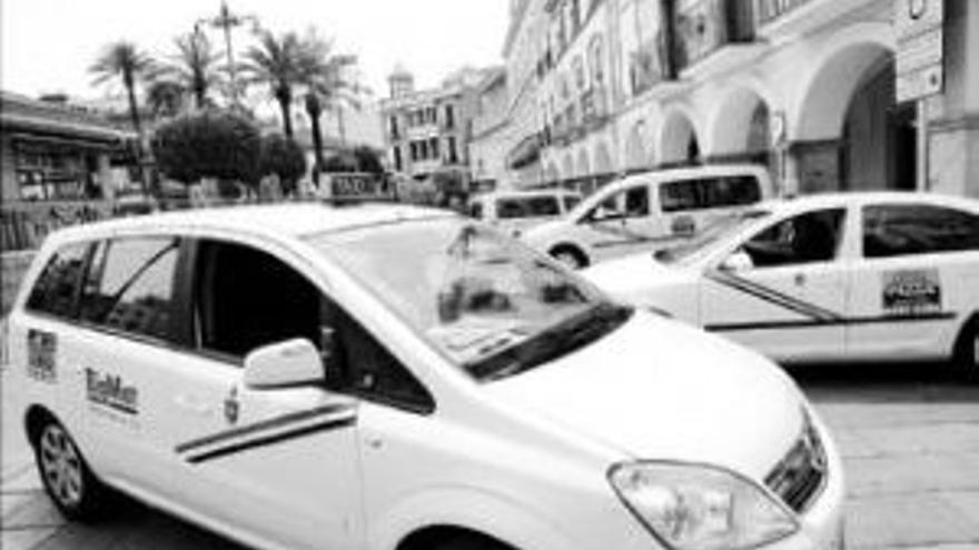 Unas 15 personas se examinarán del permiso municipal de auto-taxi