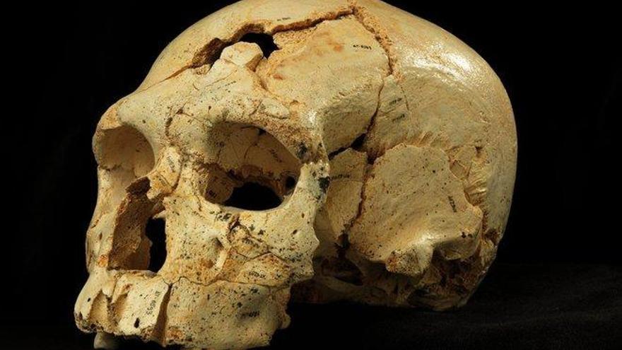 Canibalismo y homicidios en Atapuerca, alimento de novela negra