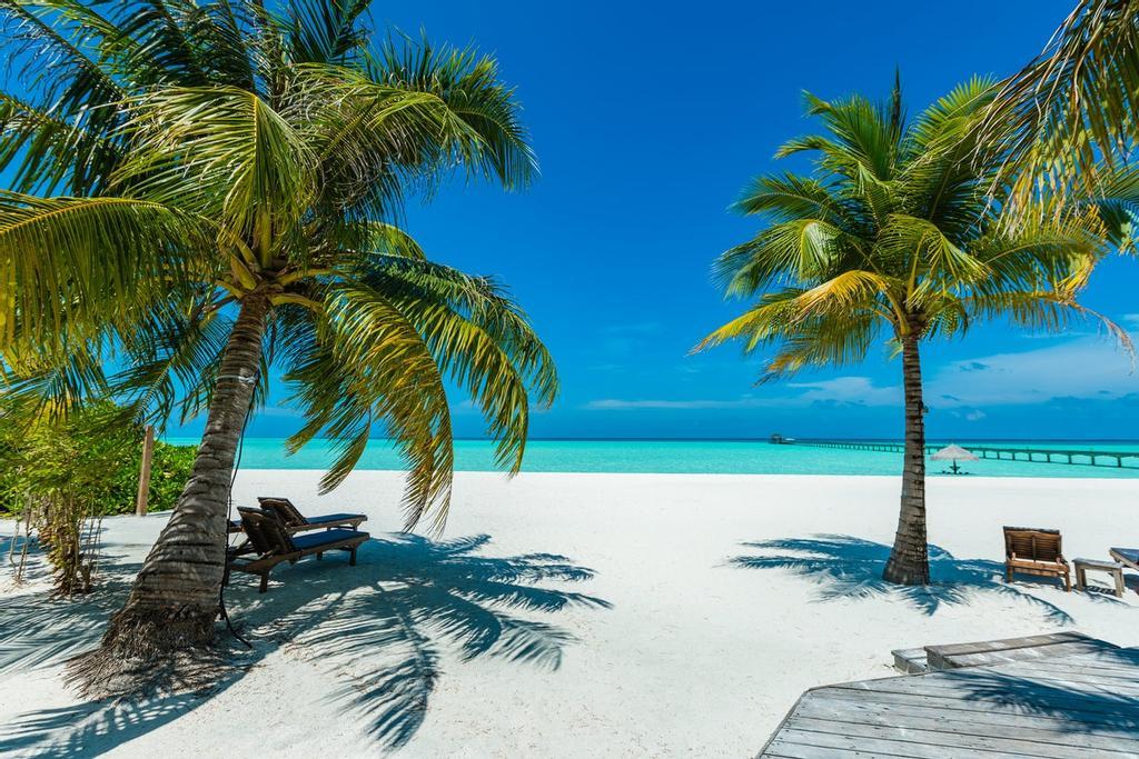 Isla de Dhiffushi, Maldivas