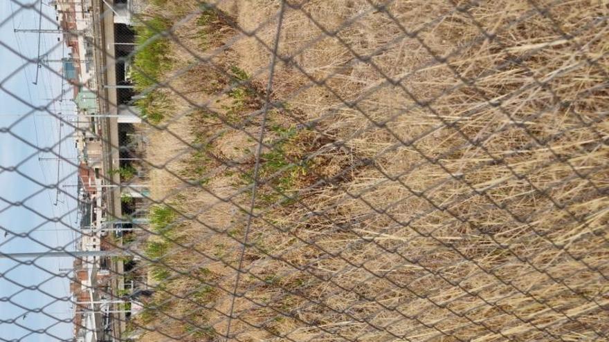 el parc central de Girona, en imatges. 1 Herbei recremat tancat a la gàbia. |