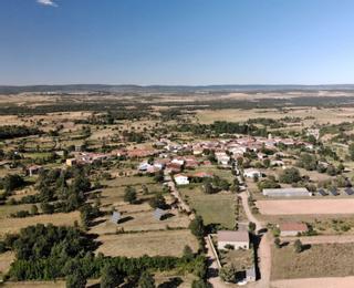 Vaca, ternera, cordero, gallo... sorteo de animales para sufragar las fiestas en este pueblo de Zamora