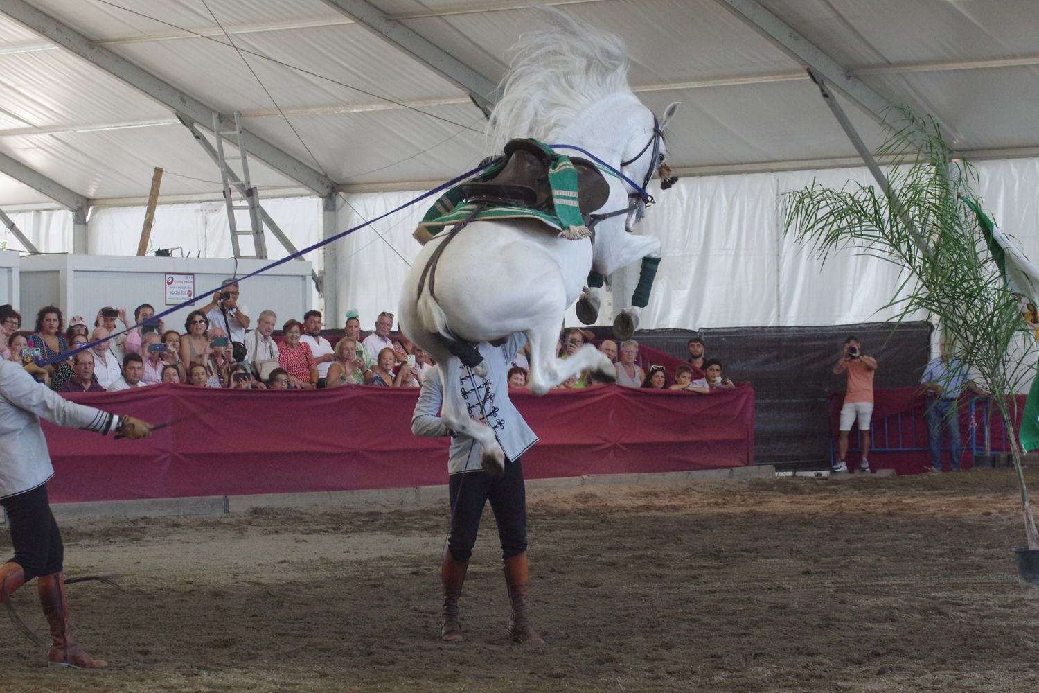 Feria de Málaga 2023 I El baile a caballo en el Centro de Exhibición Ecuestre del Real