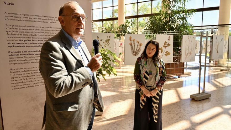 De rosas a berzas: el primer herbario literario de Rosalía