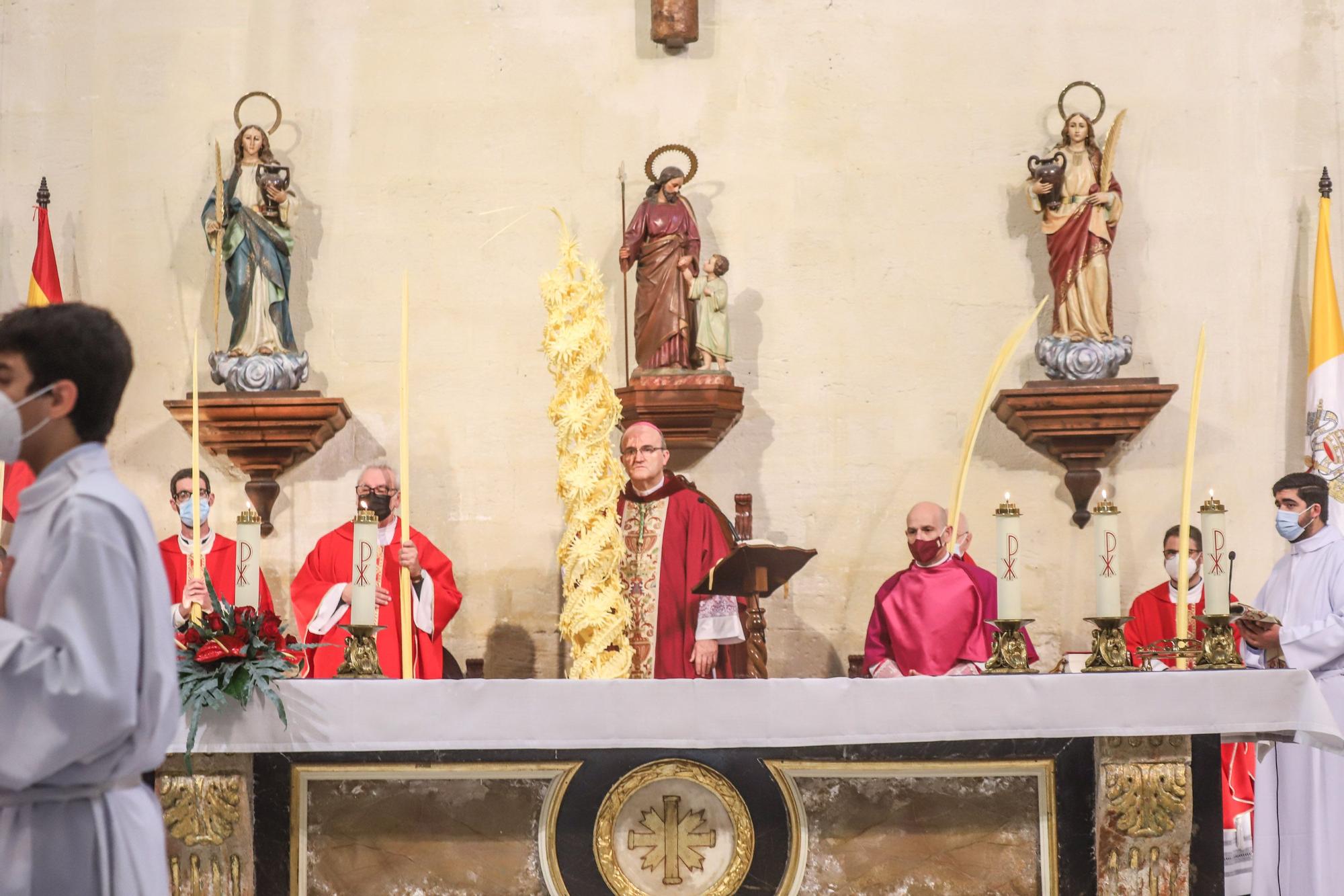 El obispo Munilla preside la procesión de las Palmas en Orihuela