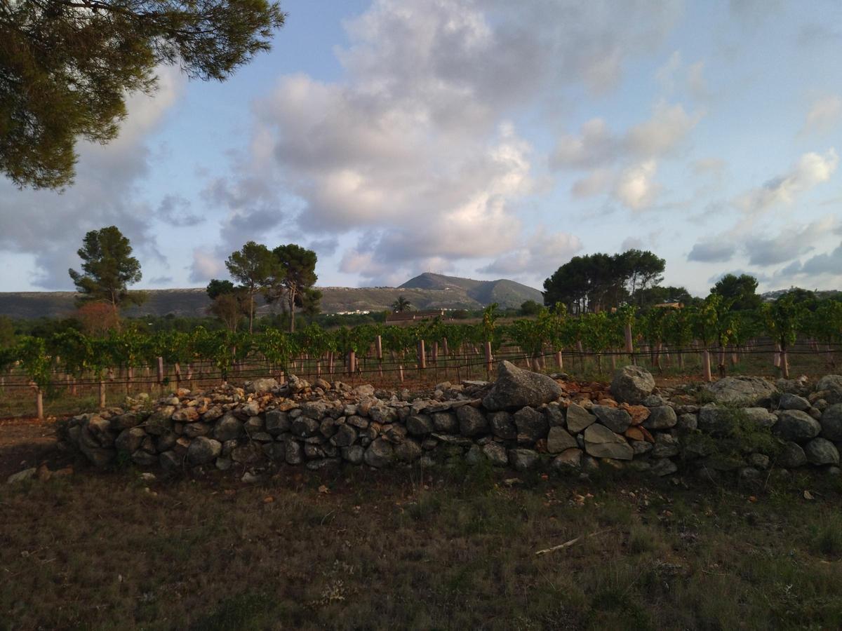 Muro de &quot;pedra seca&quot; recuperado y, al fondo, el perfil de la montaña de la Granadella y del Puig de la Llorença