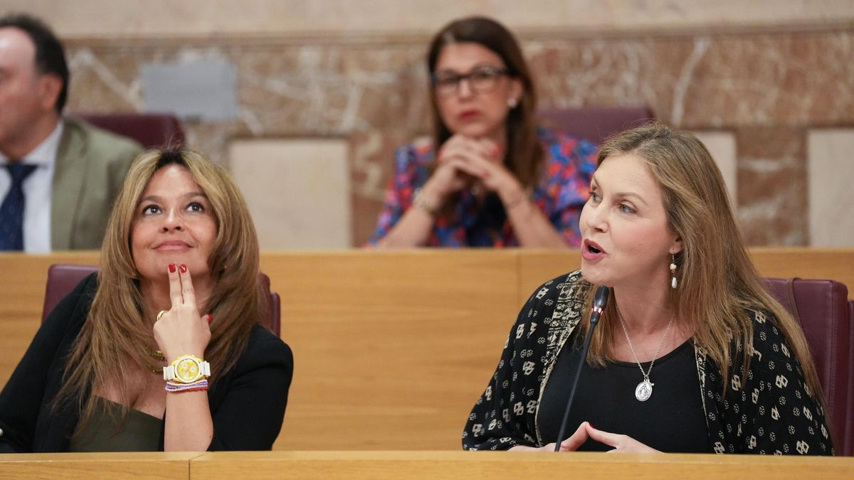 La portavoz municipal de VOX, Cristina Peláez y la delegada de Limpieza, Evelia Rincón en un pleno. PP y Vox llegan a un acuerdo por las ordenandas fiscales