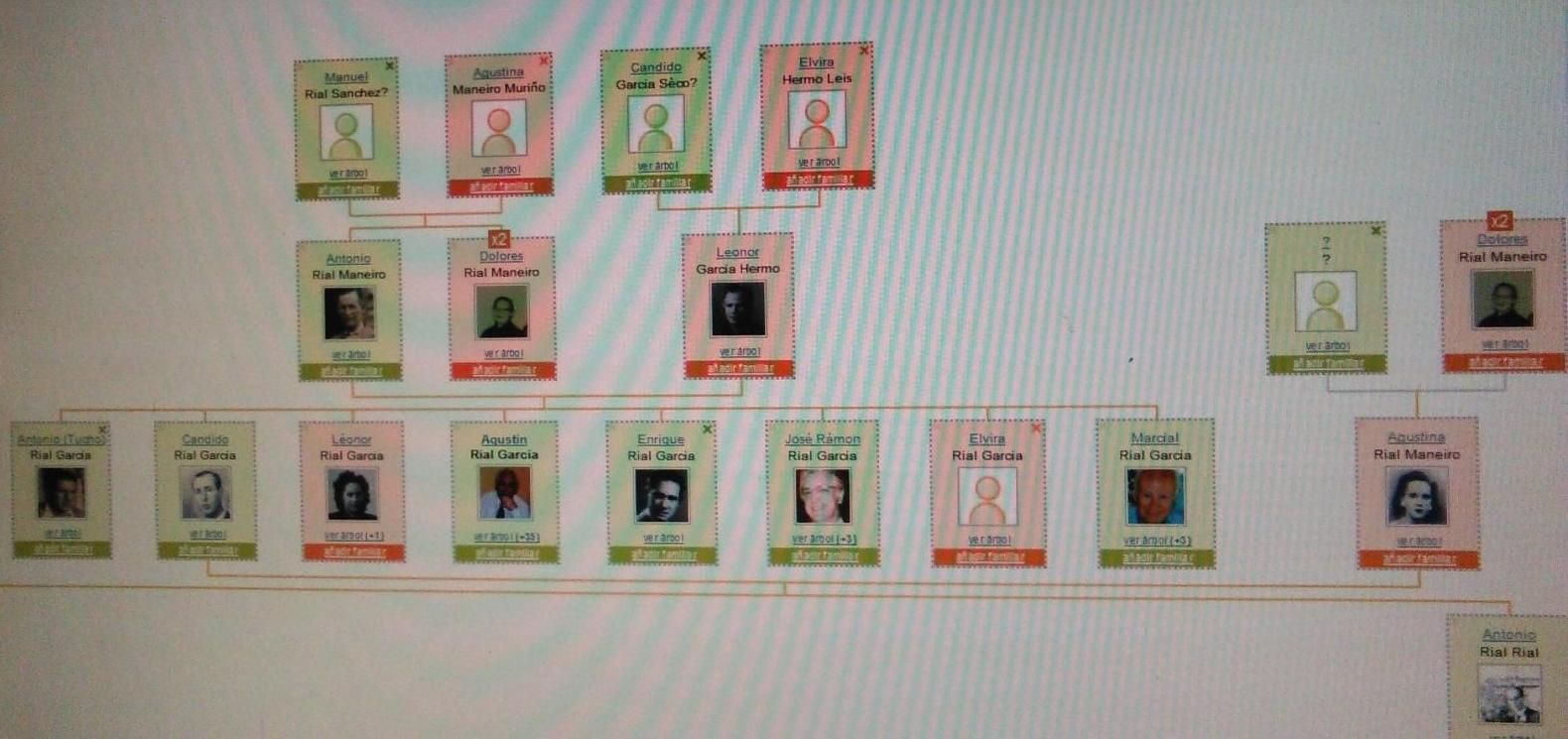Árbol genealógico que está componiendo Vicente Rial, con la foto de si bisabuela Leonor García en el centro.