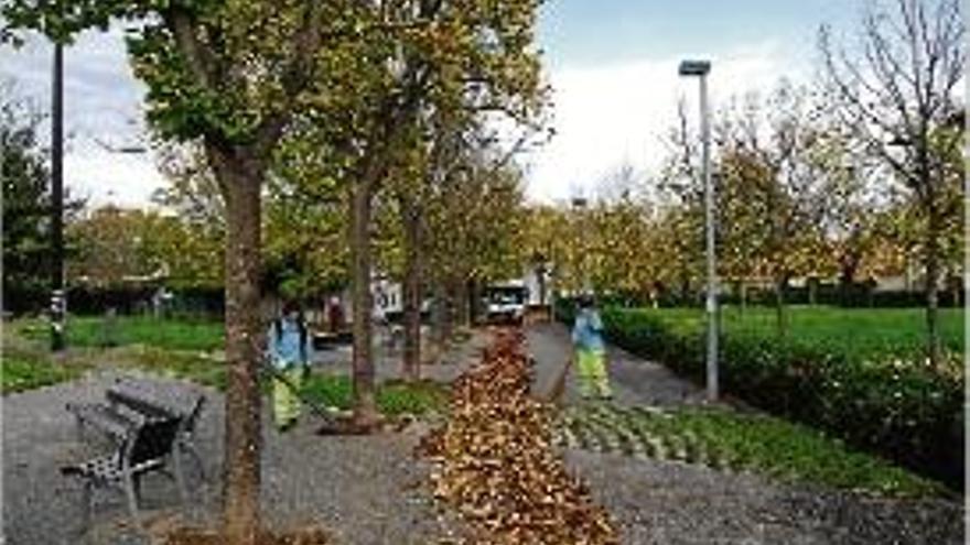 L&#039;Ajuntament de Girona reforça la neteja viària per la caiguda de fulles
