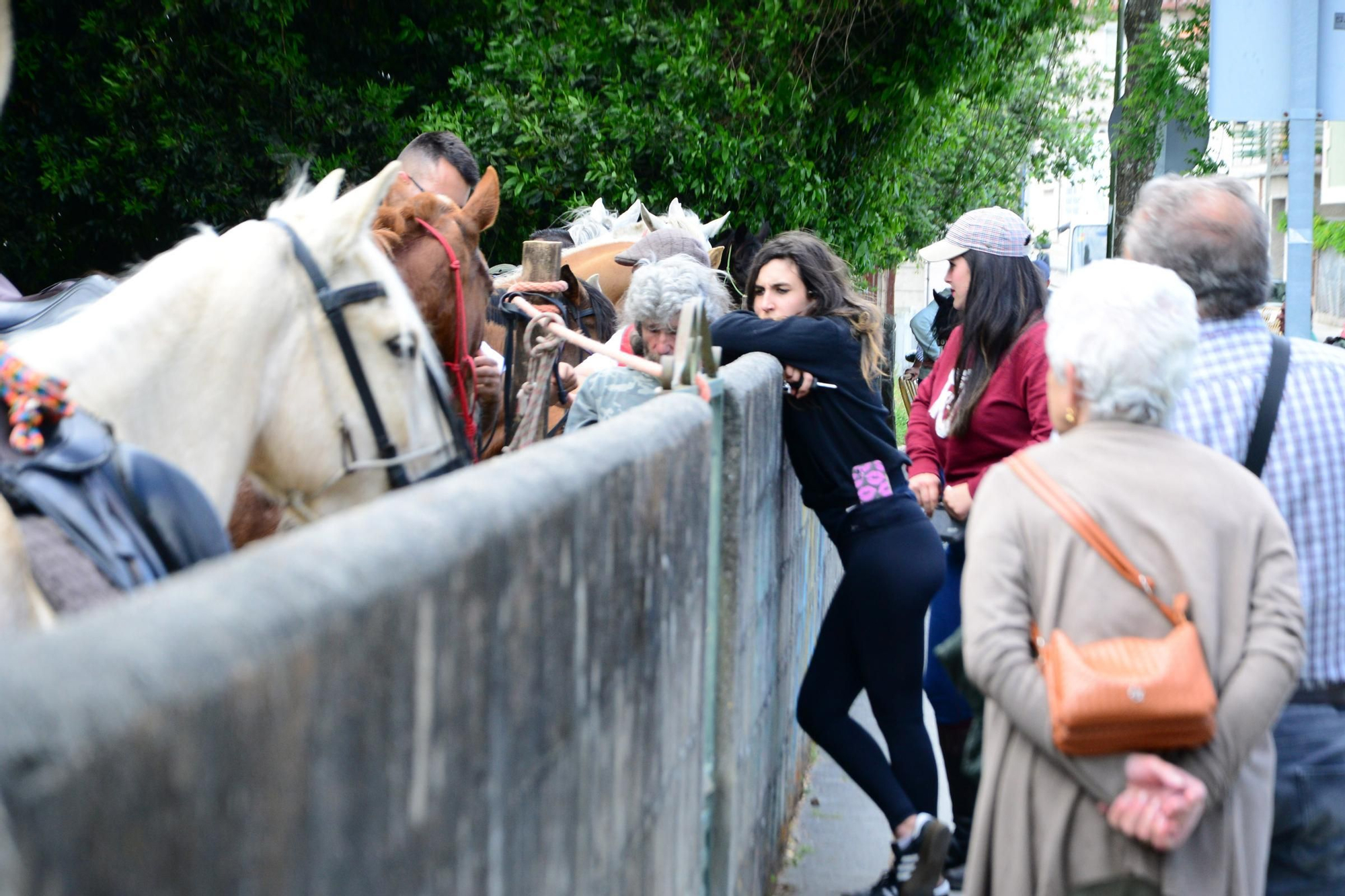 Más de 200 jinetes en la Xuntaza Cabalar de Moaña