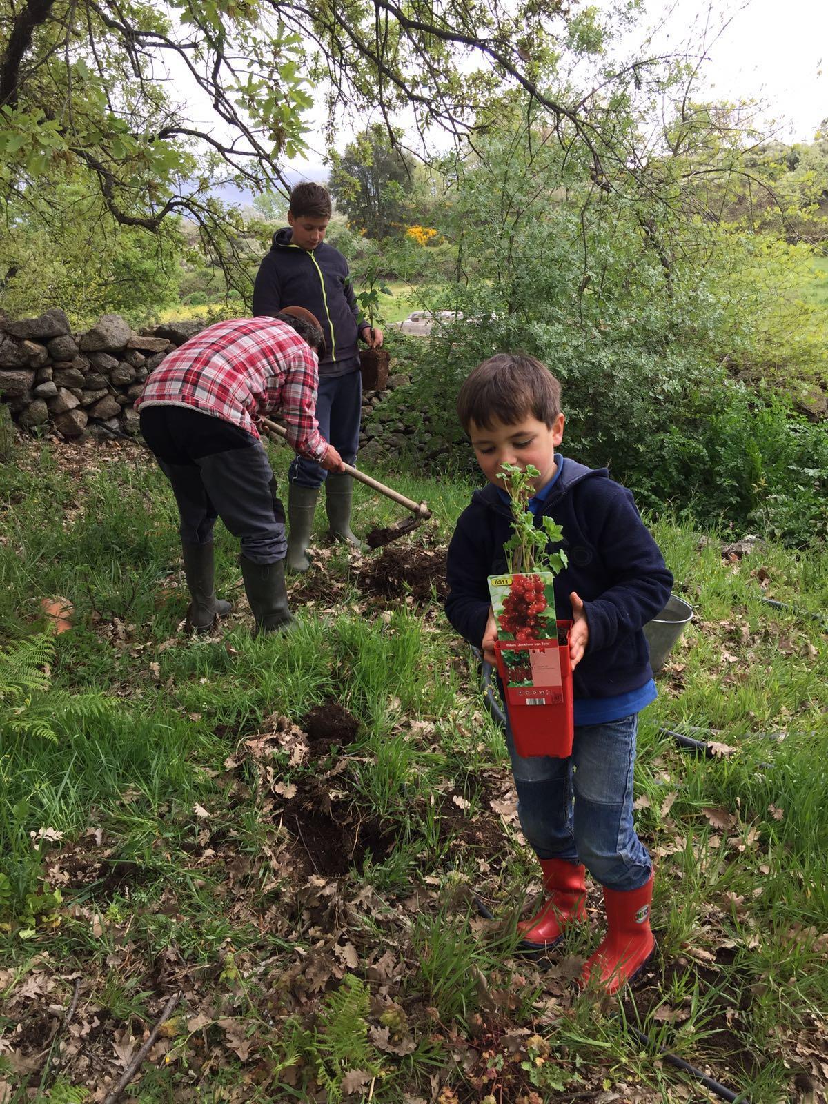 Aprendiendo buenas prácticas con el campo, en La Vera, con el colectivo solidario.