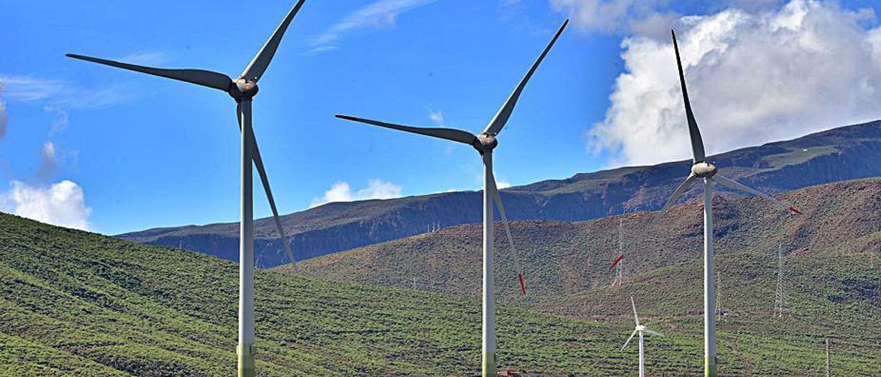 Parque eólico de Naturgy en la isla de Gran Canaria. | | SANTI BLANCO