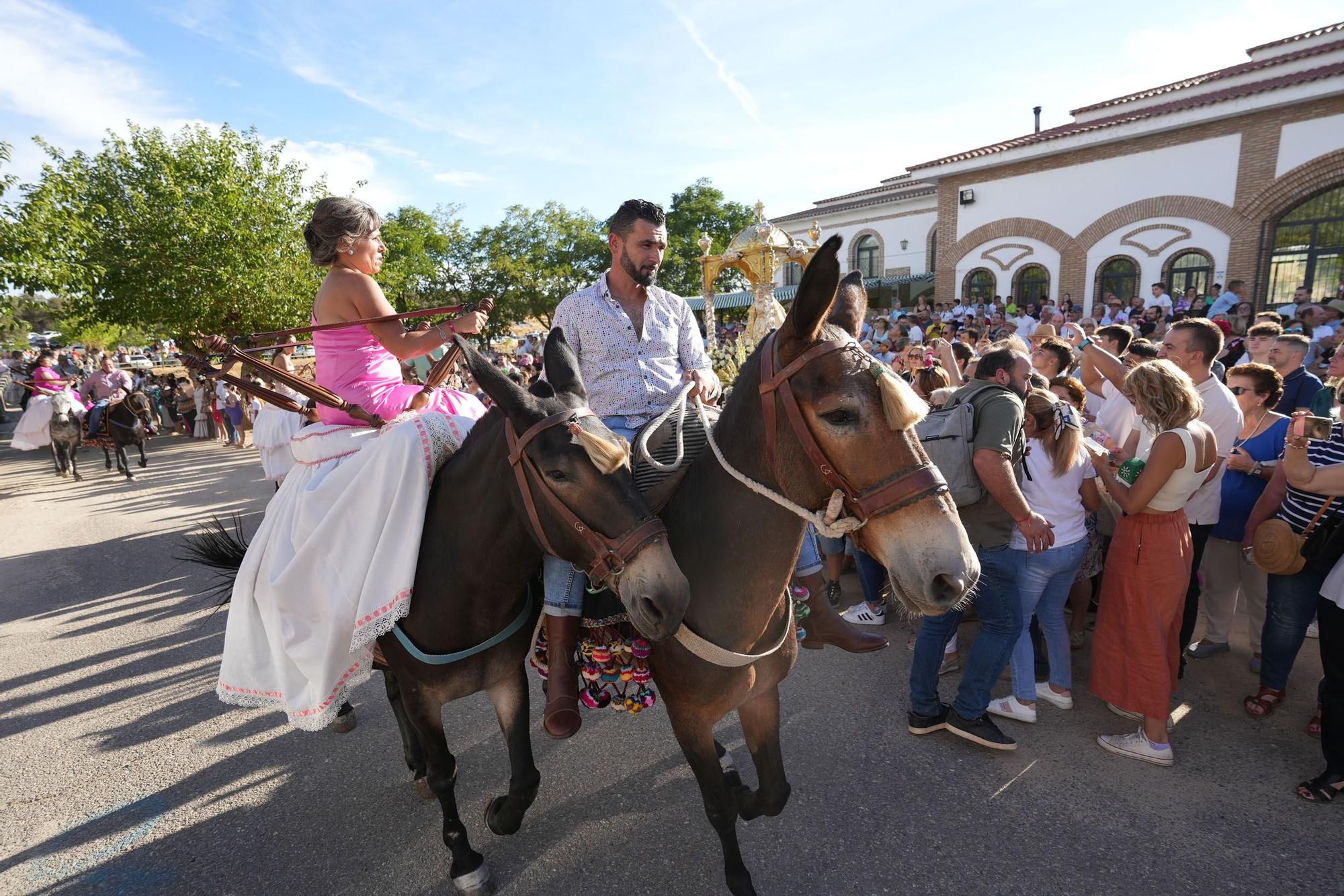 Piostros de Pedroche