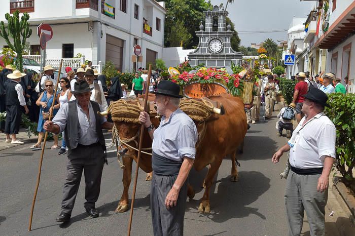 Carretas y grupos en la romería del Pino