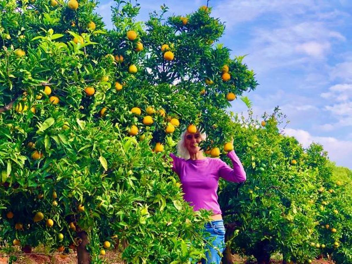 Tunaranjo.Online, nueva plataforma para la venta de cítricos ecológicos de Castellón