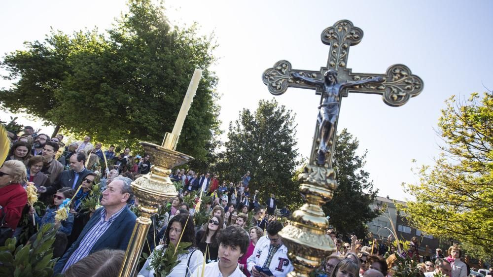 Procesión La Borriquilla en Oviedo