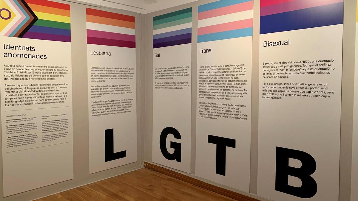 Una imatge de l’exposició.