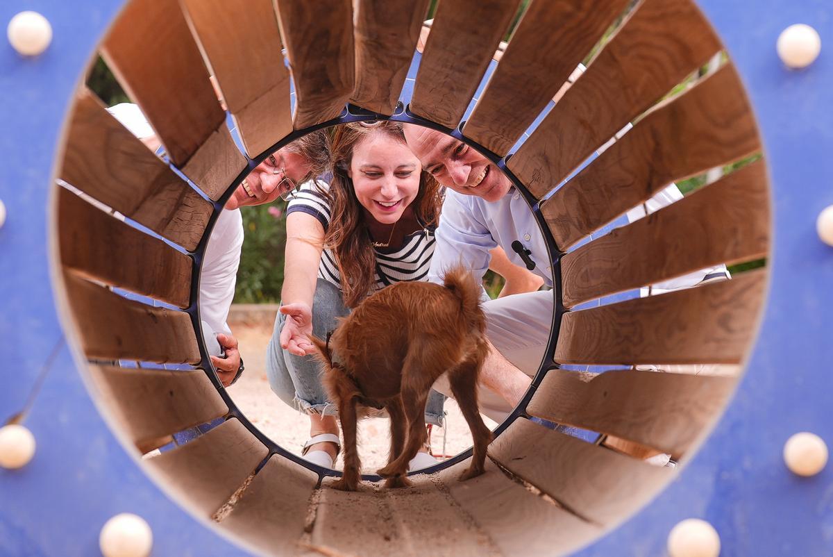Área canina en Madrid.